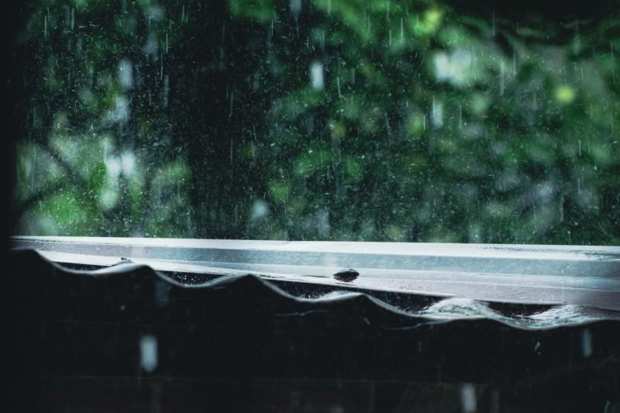 Refreshing Rain