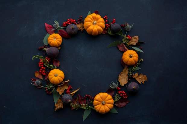 Hypoallergenic Halloween